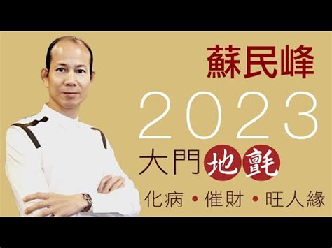 2023門口地氈顏色|【2023大門地氈顏色】驚喜！2023 大門地氈顏色大公開，讓你招。